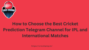 cricket prediction Telegram channel