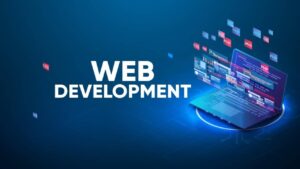 custom web development services