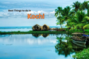 Best things to do in Kochi