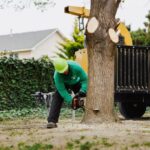 Why Should You Hire Specialists for Tree Topping Near You