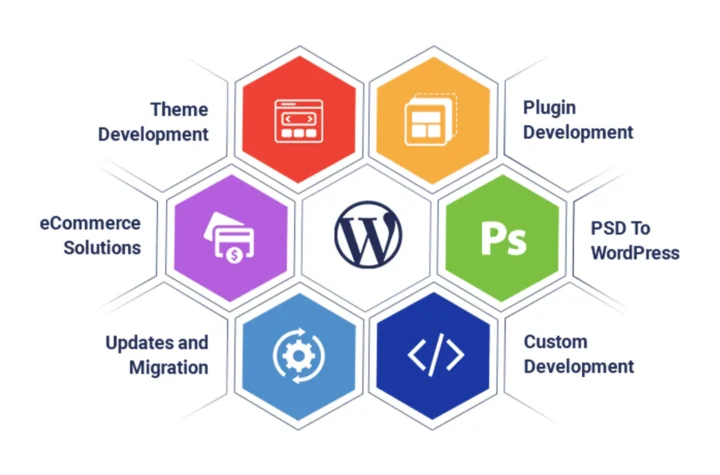 custom web development services