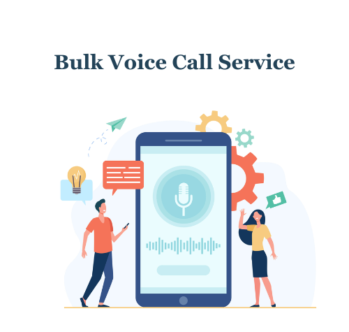 voice call