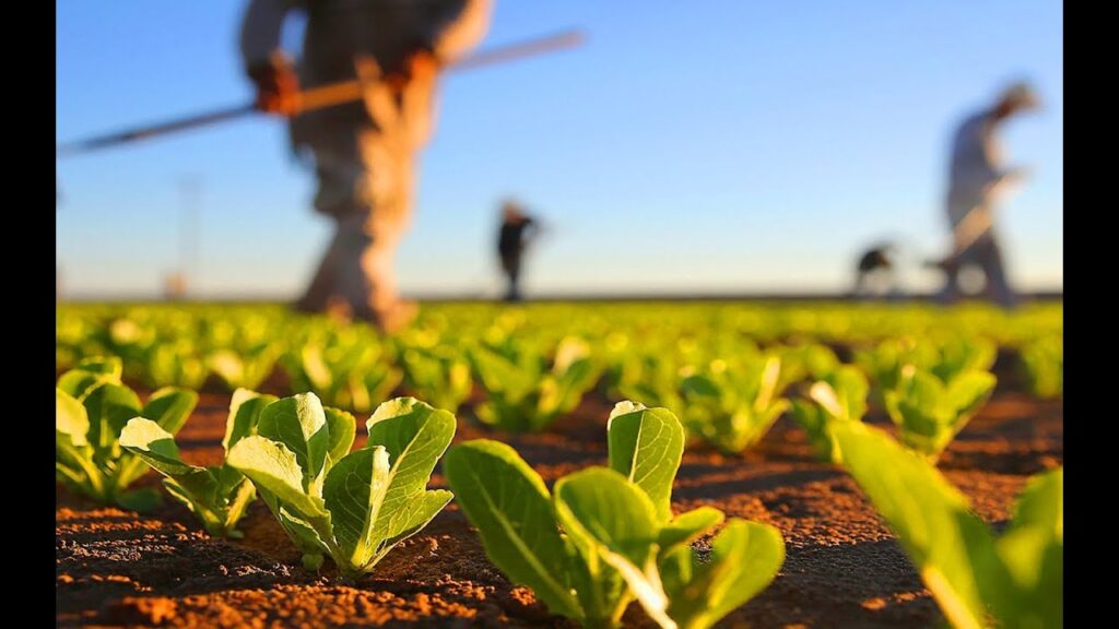 Sustainable Agriculture Farming