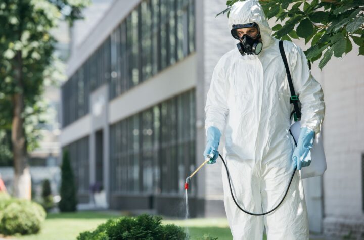 Pest Control in Lahore and Guide Termite Control