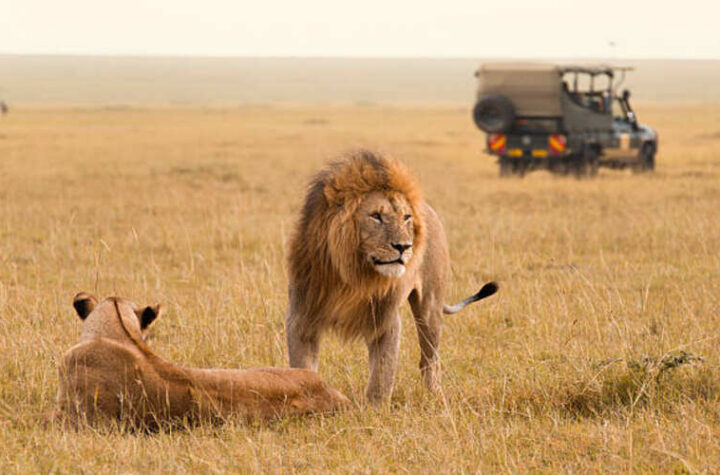 Attractions in Kenya