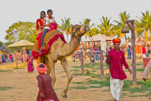 Desert Safari in jaisalmer