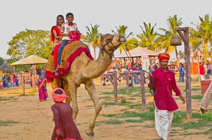 Desert Safari in jaisalmer