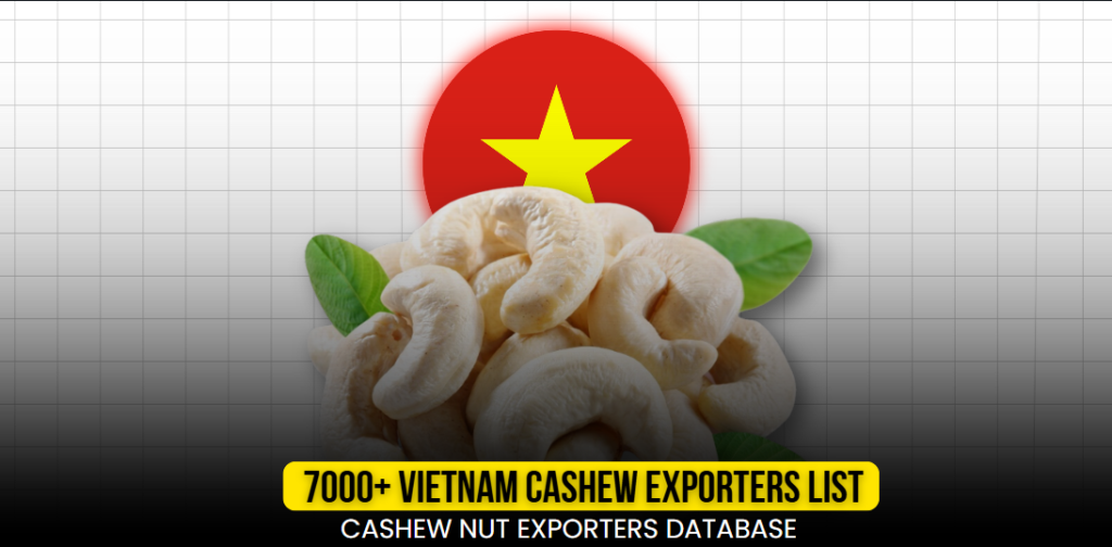 Top Cashew Exporters in Vietnam | Vietnam Cashew Nut Exporters Database