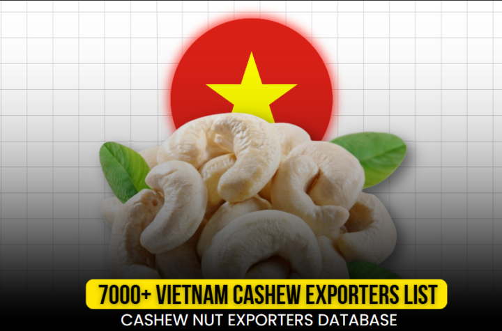 Top Cashew Exporters in Vietnam | Vietnam Cashew Nut Exporters Database